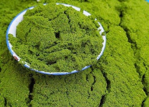 Duckweed in a bowl